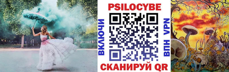 МЕГА ТОР  Зерноград  Галлюциногенные грибы мицелий 