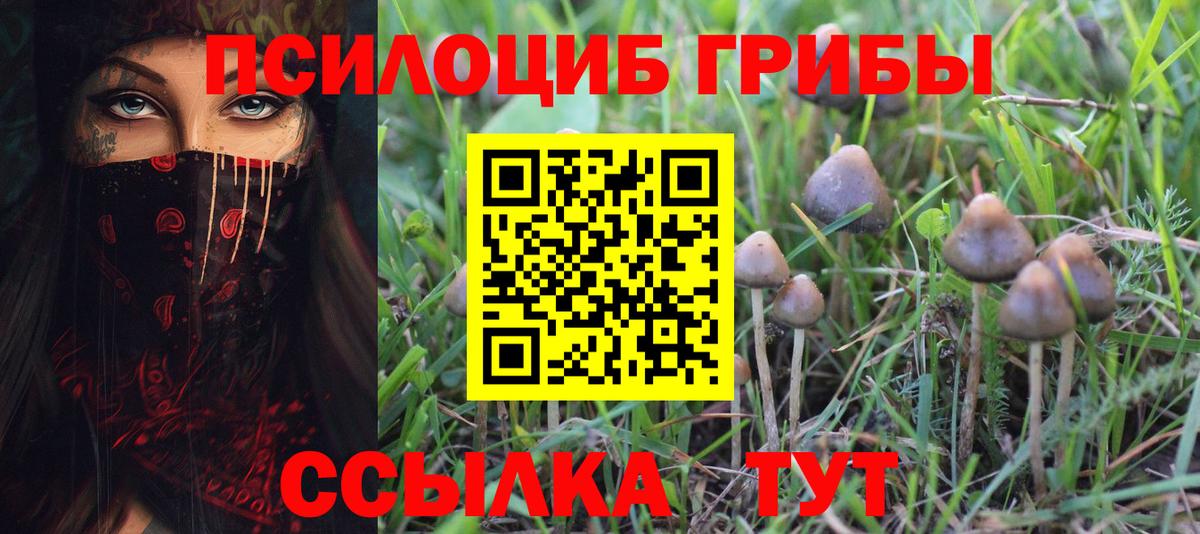 Галлюциногенные грибы ЛСД Зерноград